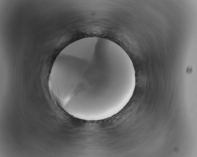 X0000102841297200809151054