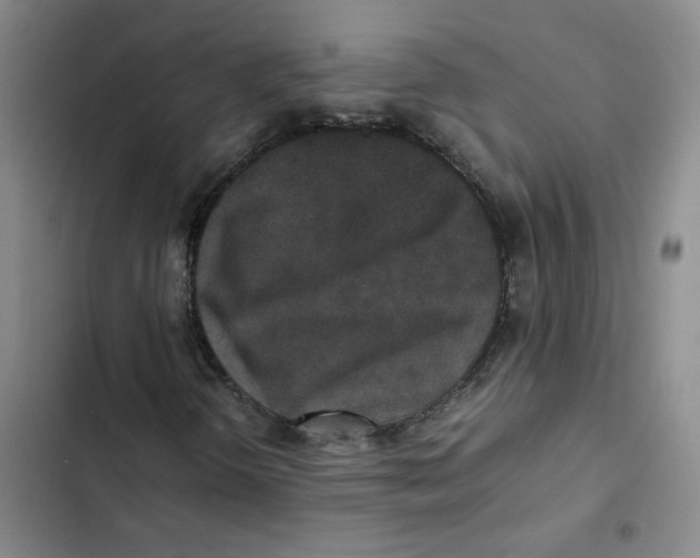 X0000102841298200809151054