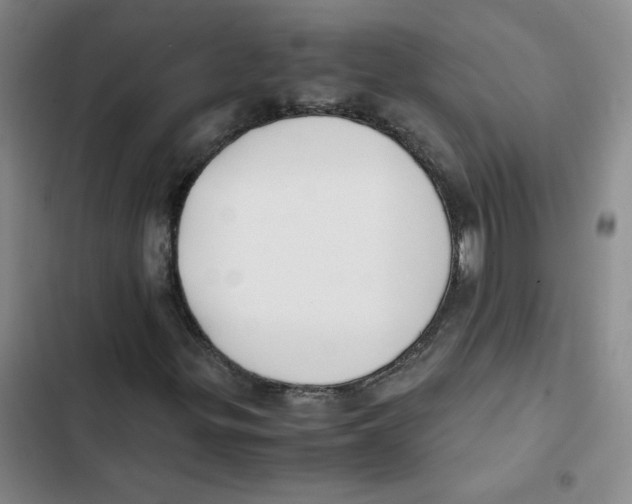 X0000102841299200809151054