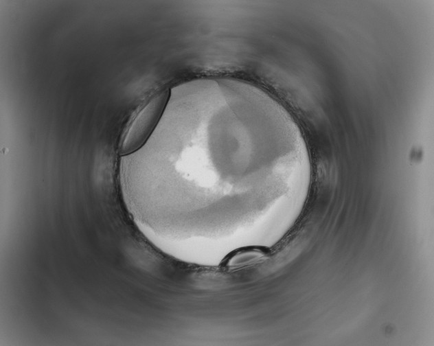 X0000102841300200809151054