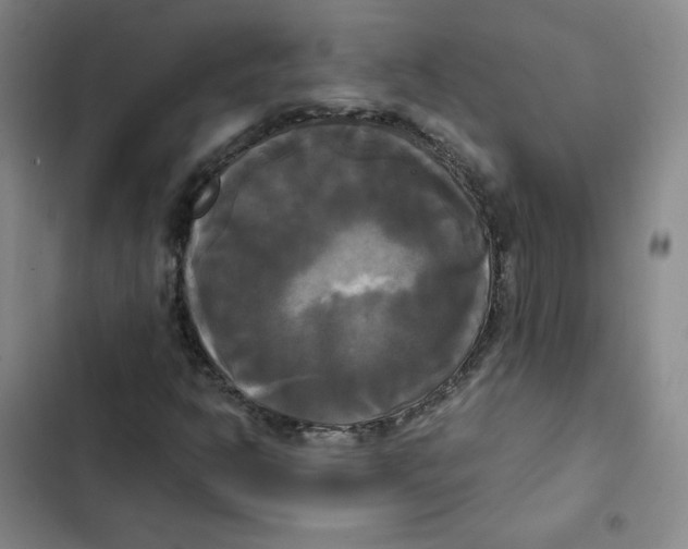 X0000102841302200809151054