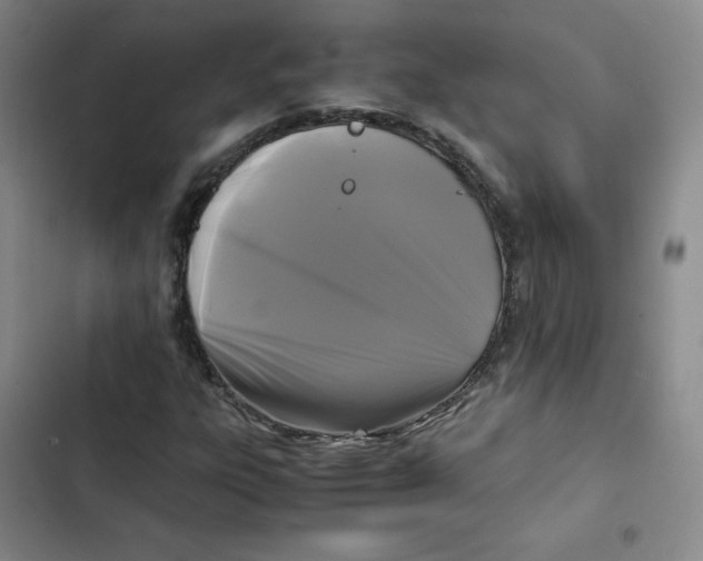 X0000102841303200809151054