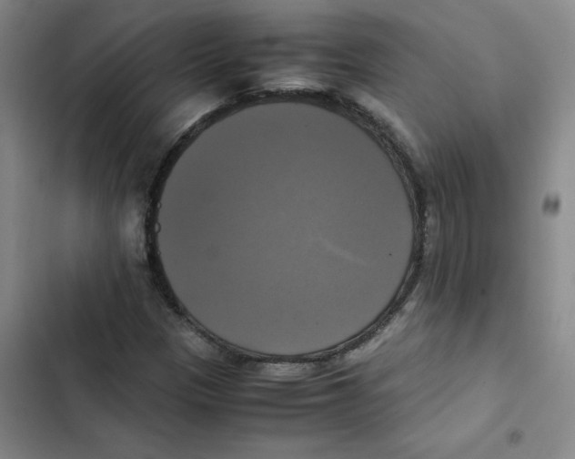 X0000102841305200809151054