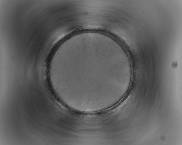 X0000102841306200809151054