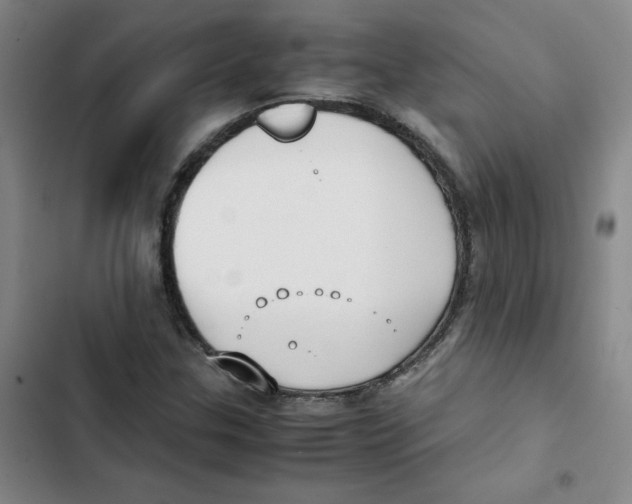 X0000102841307200809151054