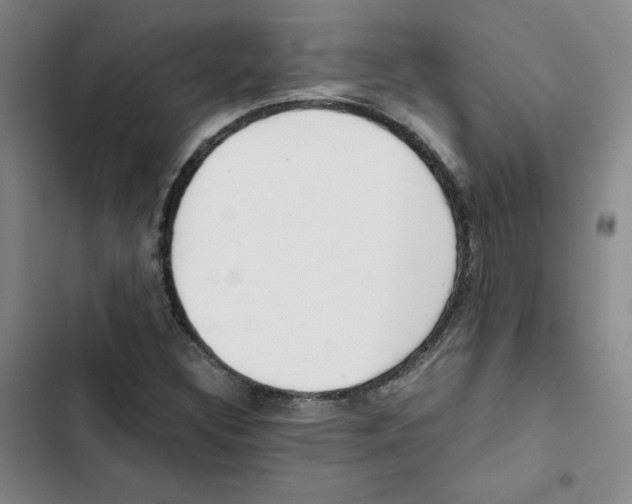 X0000102841308200809151054