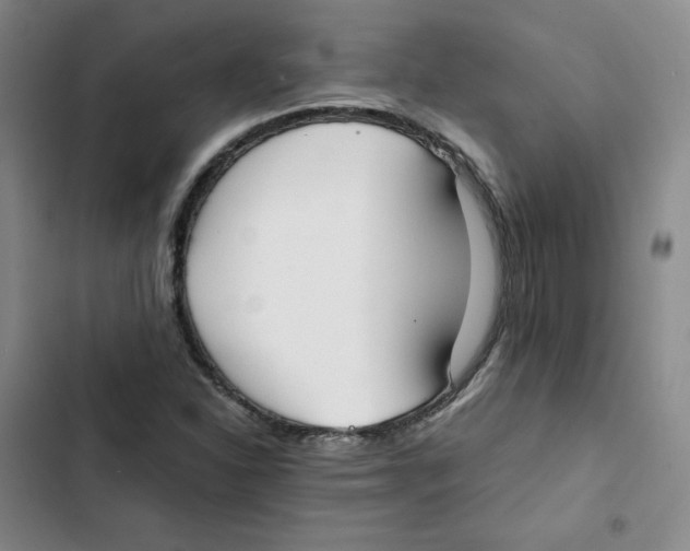 X0000102841310200809151054