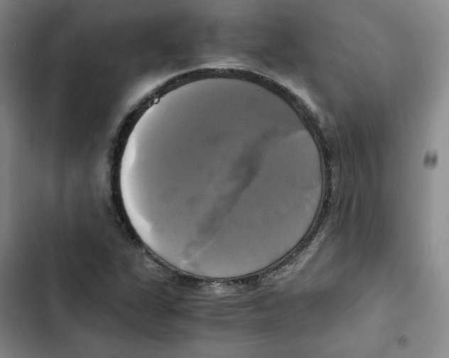 X0000102841311200809151054