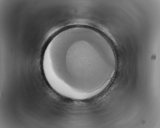 X0000102841312200809151054