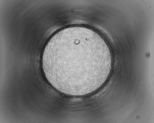 X0000102841313200809151054