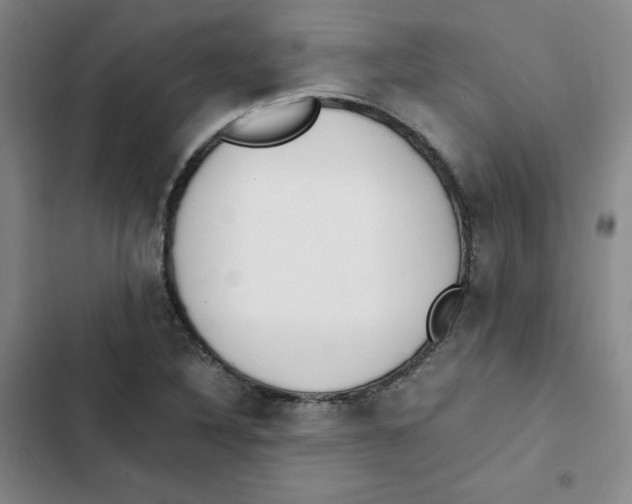 X0000102841316200809151054