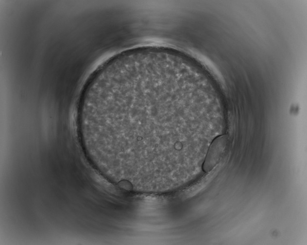 X0000102841318200809151054