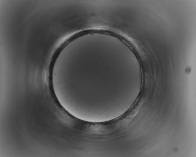 X0000102841319200809151054