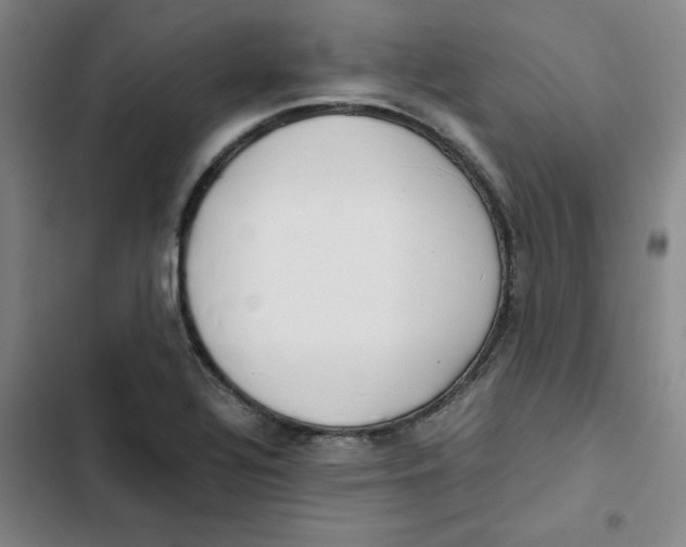 X0000102841320200809151054