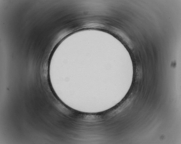 X0000102841322200809151054