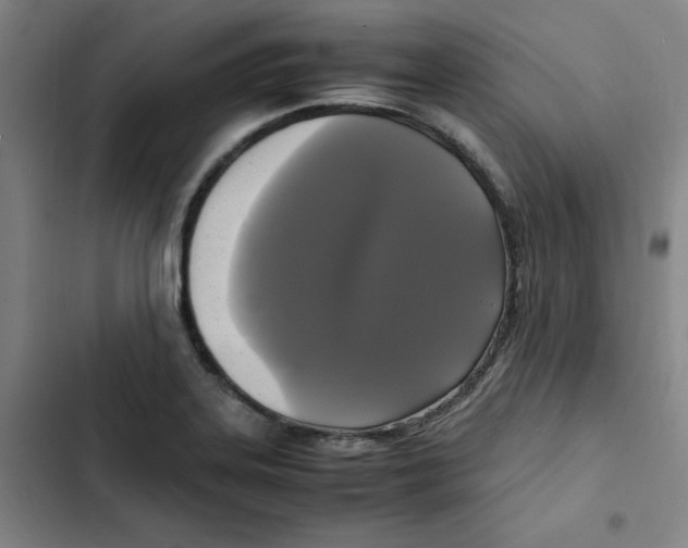 X0000102841323200809151054