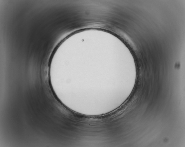 X0000102841324200809151054