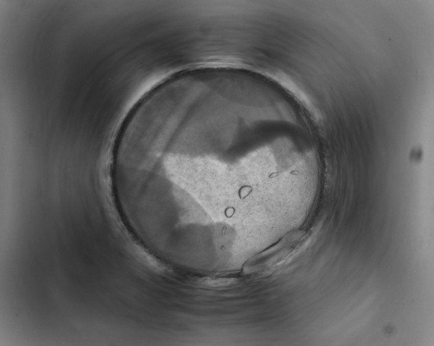 X0000102841325200809151054