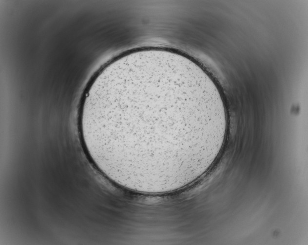 X0000102841326200809151054