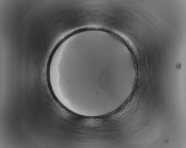 X0000102841327200809151054