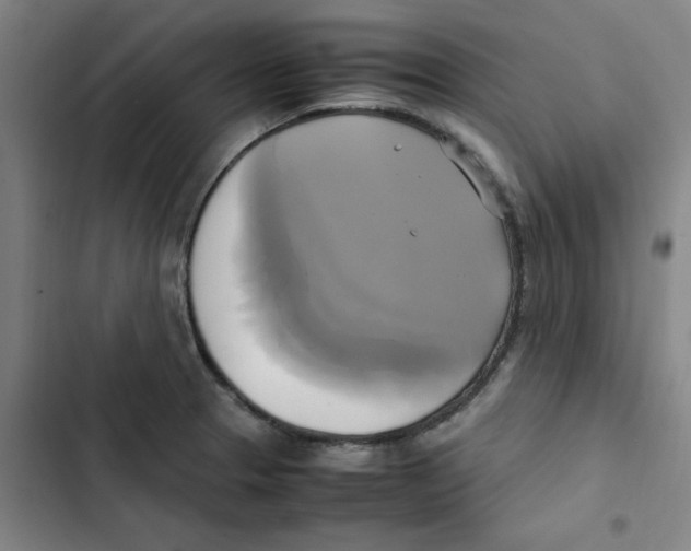 X0000102841329200809151054