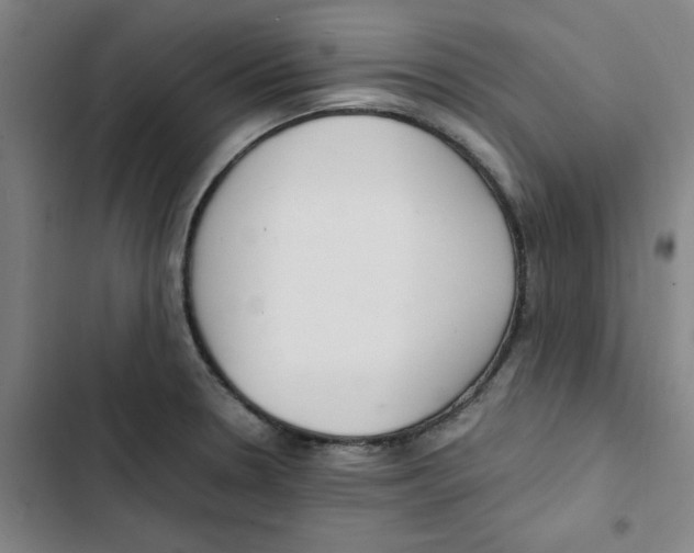 X0000102841330200809151054