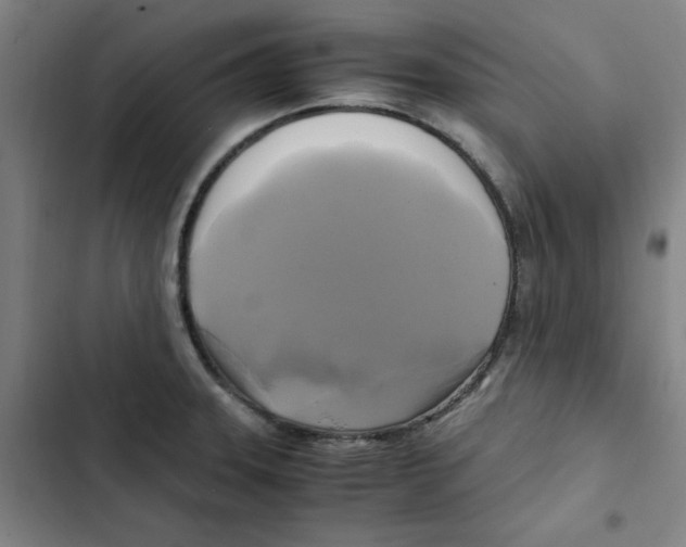 X0000102841331200809151054