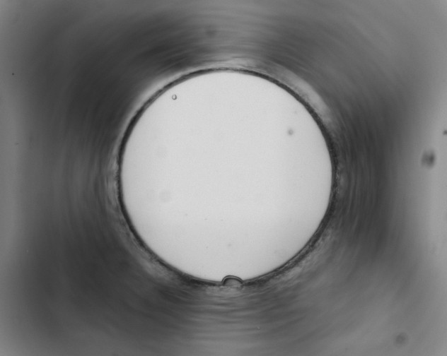 X0000102841332200809151054