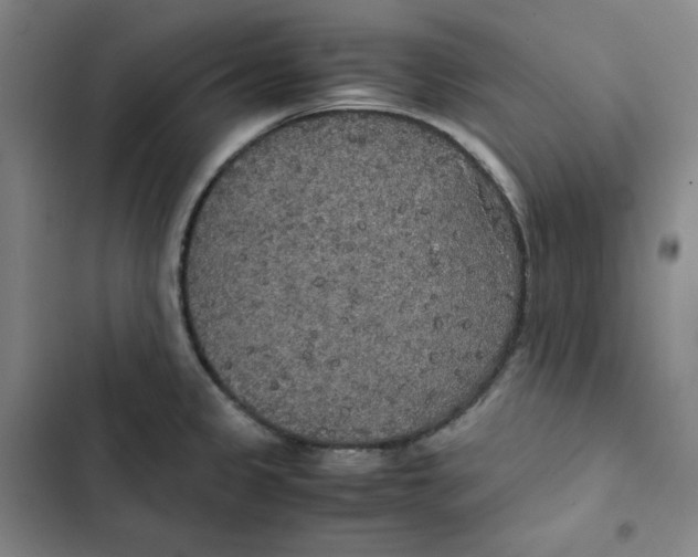 X0000102841333200809151055