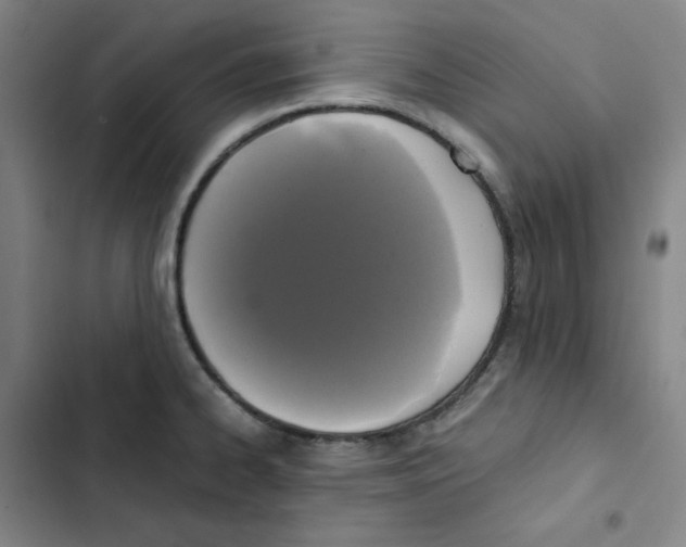 X0000102841334200809151055