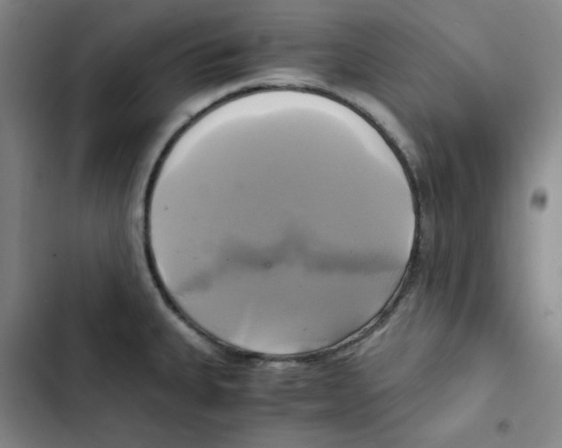 X0000102841335200809151055