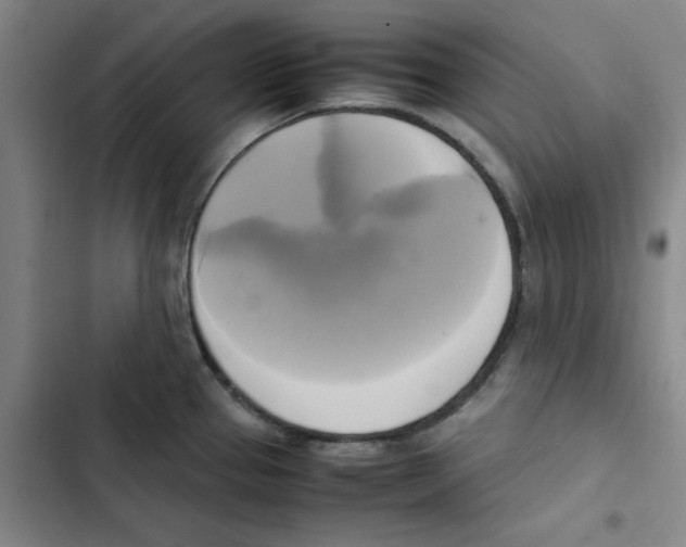 X0000102841337200809151055