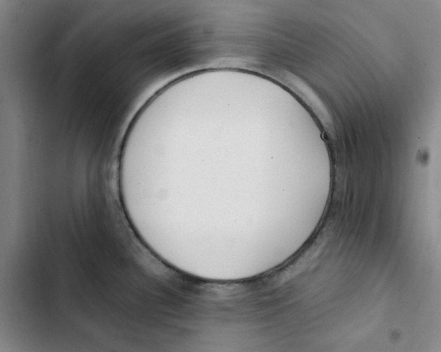 X0000102841340200809151055