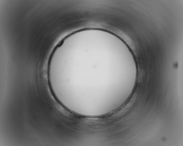 X0000102841342200809151055