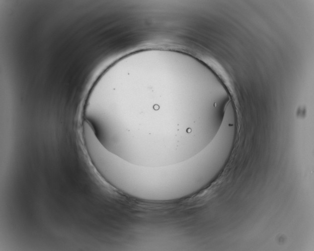 X0000102841344200809151055