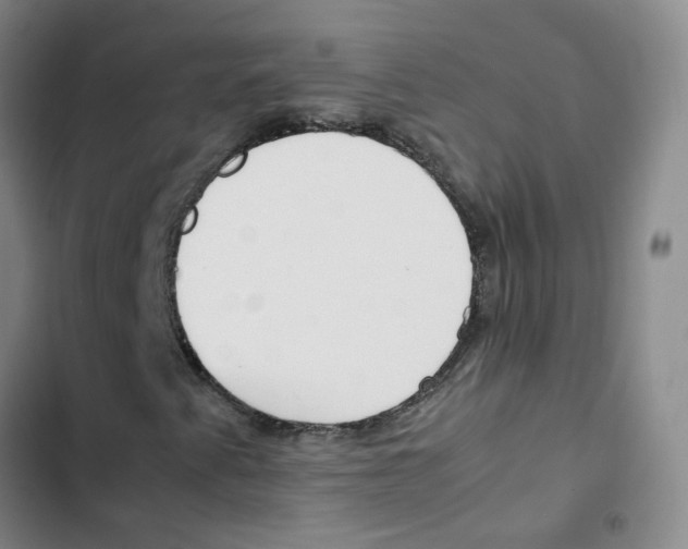 X0000102841345200809151054