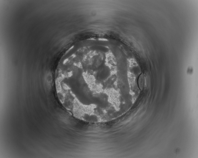 X0000102841347200809151054