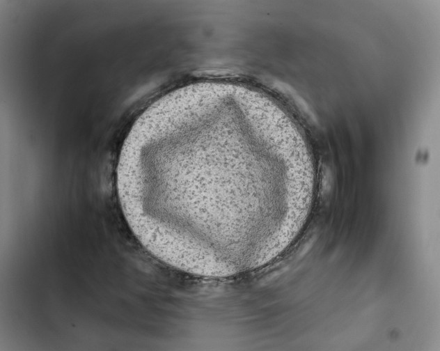 X0000102841350200809151054