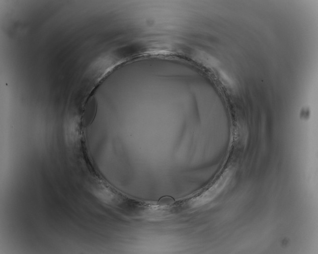 X0000102841353200809151054