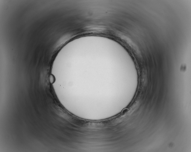 X0000102841354200809151054