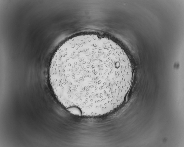 X0000102841355200809151054