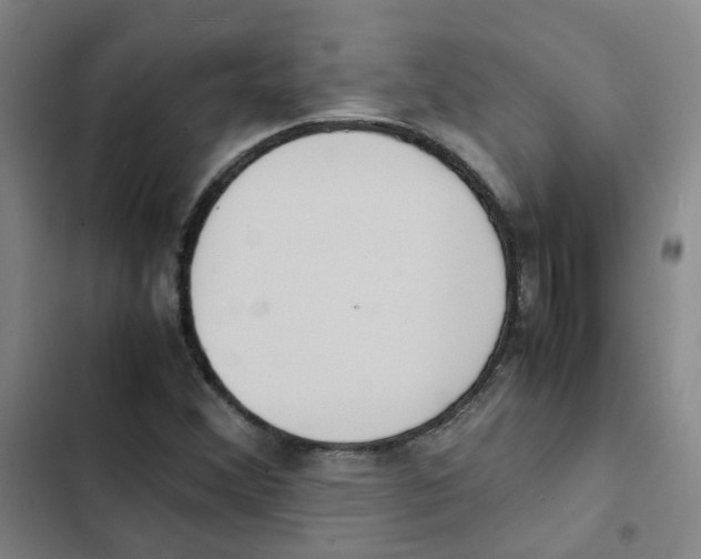 X0000102841356200809151054