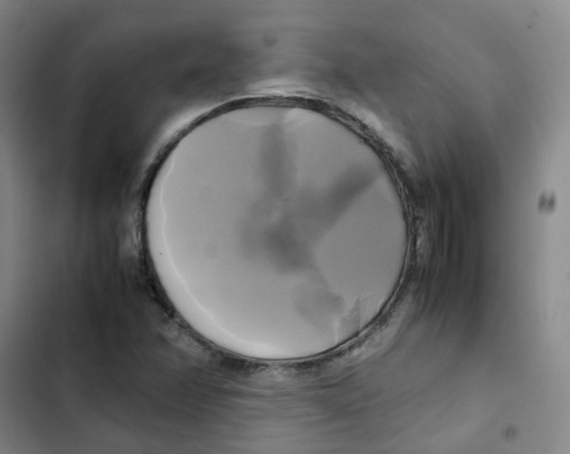 X0000102841358200809151054