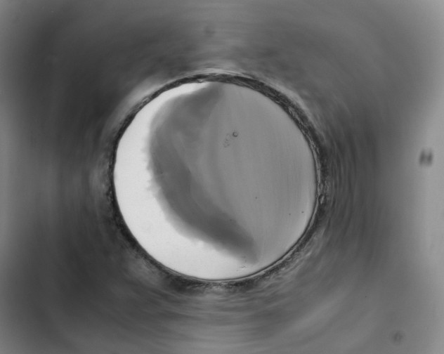 X0000102841359200809151054