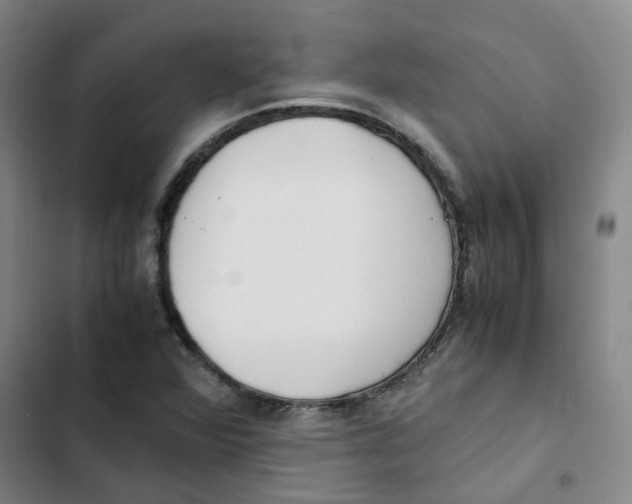 X0000102841360200809151054