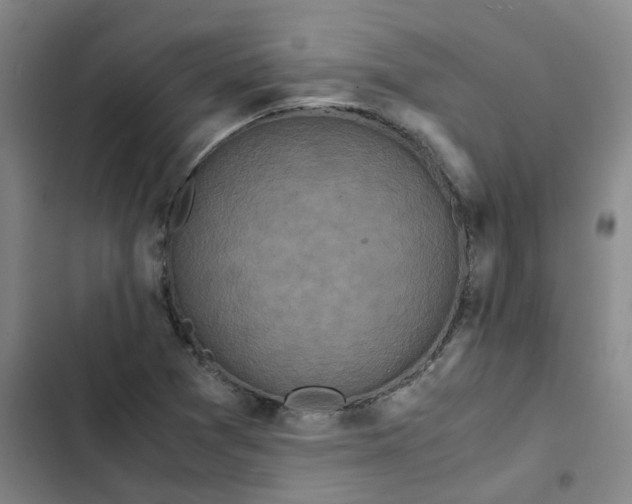 X0000102841361200809151054