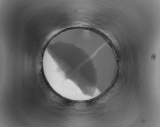 X0000102841363200809151054