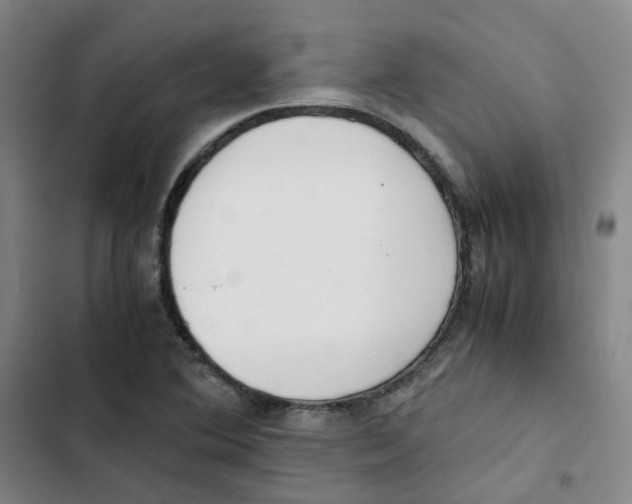 X0000102841364200809151054