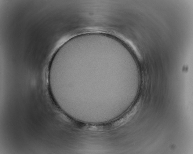 X0000102841365200809151053