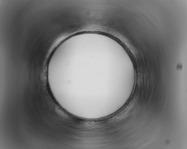 X0000102841366200809151053